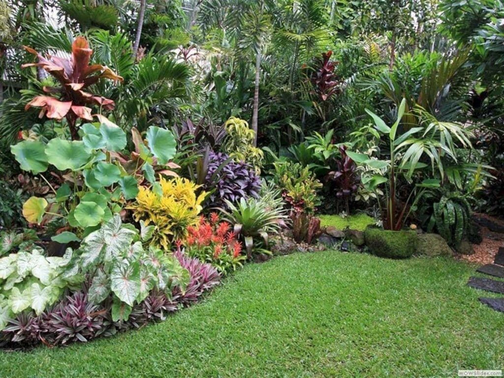 Established tropical planting in a shaded garden bed